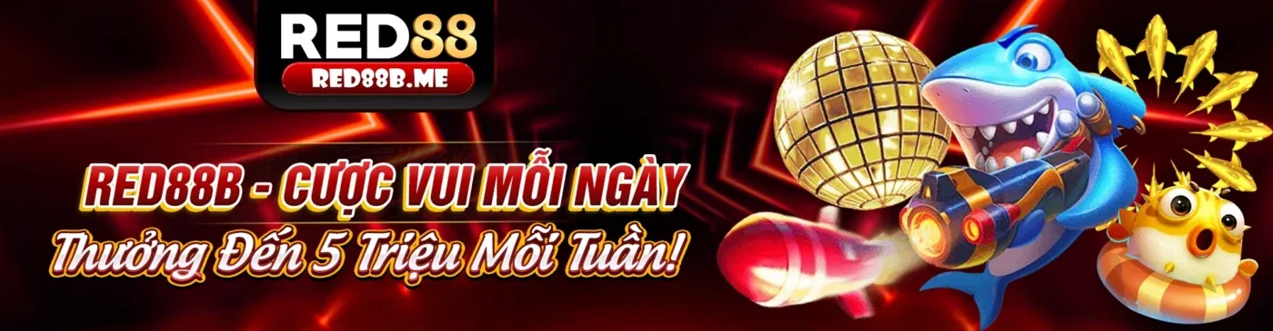 Hình ảnh minh họa chính sách quyền riêng tư King88vina với các biểu tượng bảo mật và dữ liệu an toàn